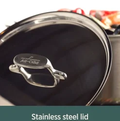 D5 Stainless Brushed 5-Ply Bonded Cookware Set, 10 Piece Set>All-Clad Online