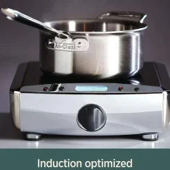 D5 Stainless Polished 5-Ply Bonded Cookware, 4 Qt Pot With Lid>All-Clad Best
