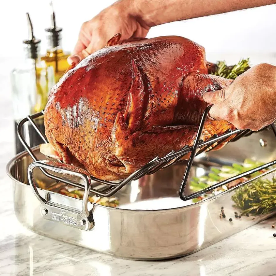 Gourmet Accessories, Large Stainless Steel Roaster With Rack, 13 X 16 Inch>All-Clad Outlet