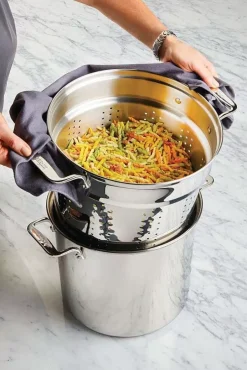 Gourmet Accessories, Stainless Steel Multi-Cooker, 16 Quart>All-Clad Best