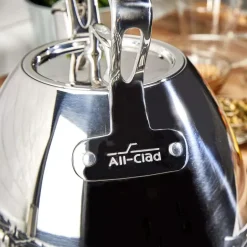 Gourmet Accessories, Stainless Steel Stovetop Tea Kettle, 2 Quart>All-Clad New