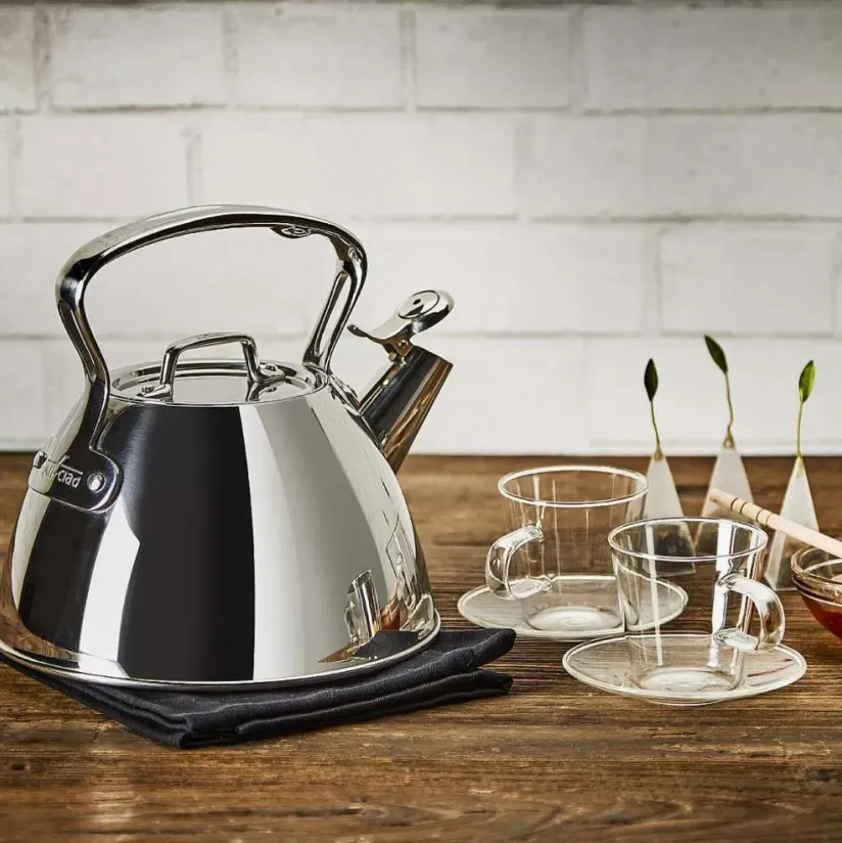Gourmet Accessories, Stainless Steel Stovetop Tea Kettle, 2 Quart>All-Clad New