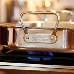 Gourmet Accessories, Stainless Steel Lasagna Pan With Lid, 12 X 15 X 2.75 Inch>All-Clad Fashion
