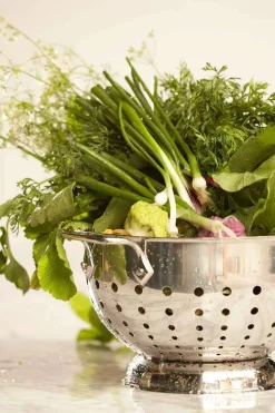 Stainless Steel Colander, 1.5 Quart><noscript><img width=