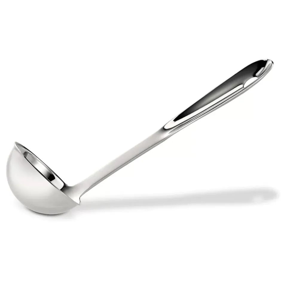 Stainless Steel Ladle, 12 Inch>All-Clad Best